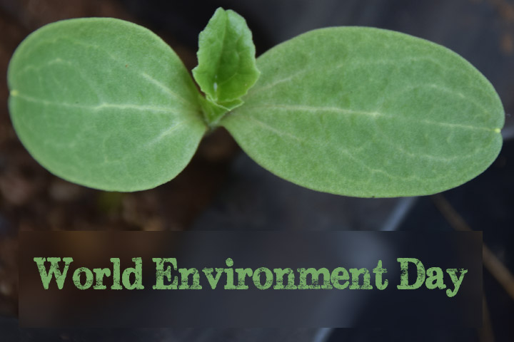 World Environment Day