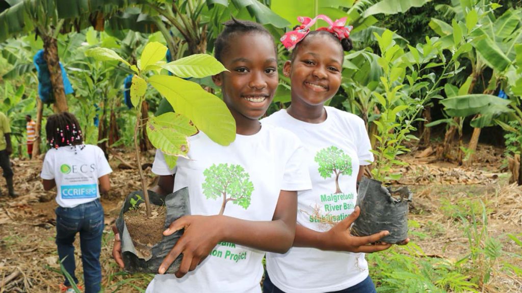 Student Volunteers join OECS and CCRIF SPC