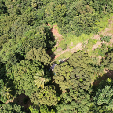 GGGI and AFD Advance Collaboration to Further Promote Resilient