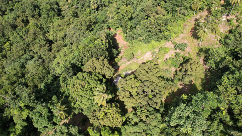 GGGI and AFD Advance Collaboration to Further Promote Resilient